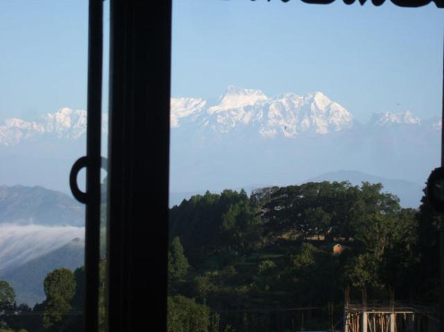 View