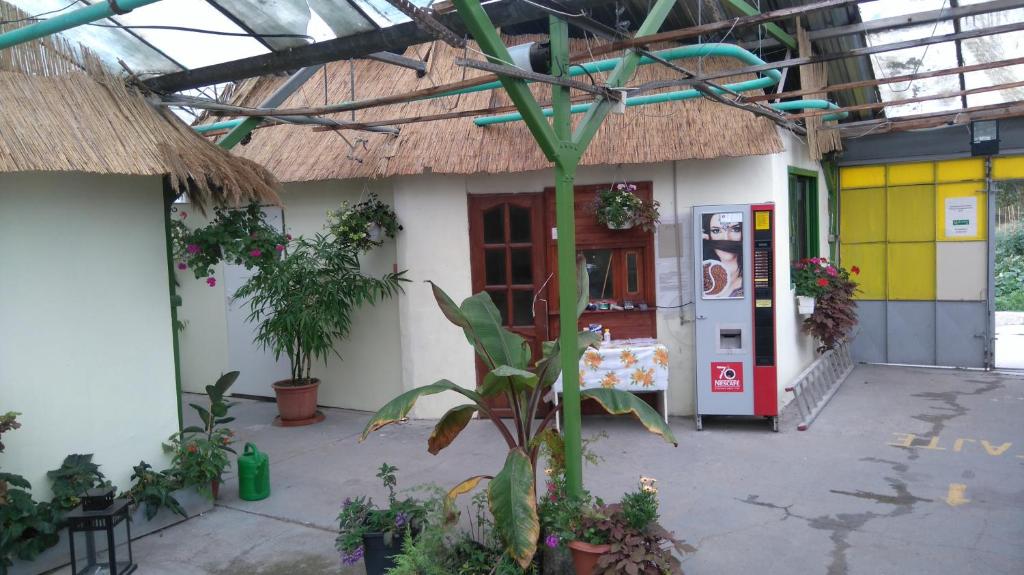 Rastlinky.sk Greenhouse Guestrooms photo