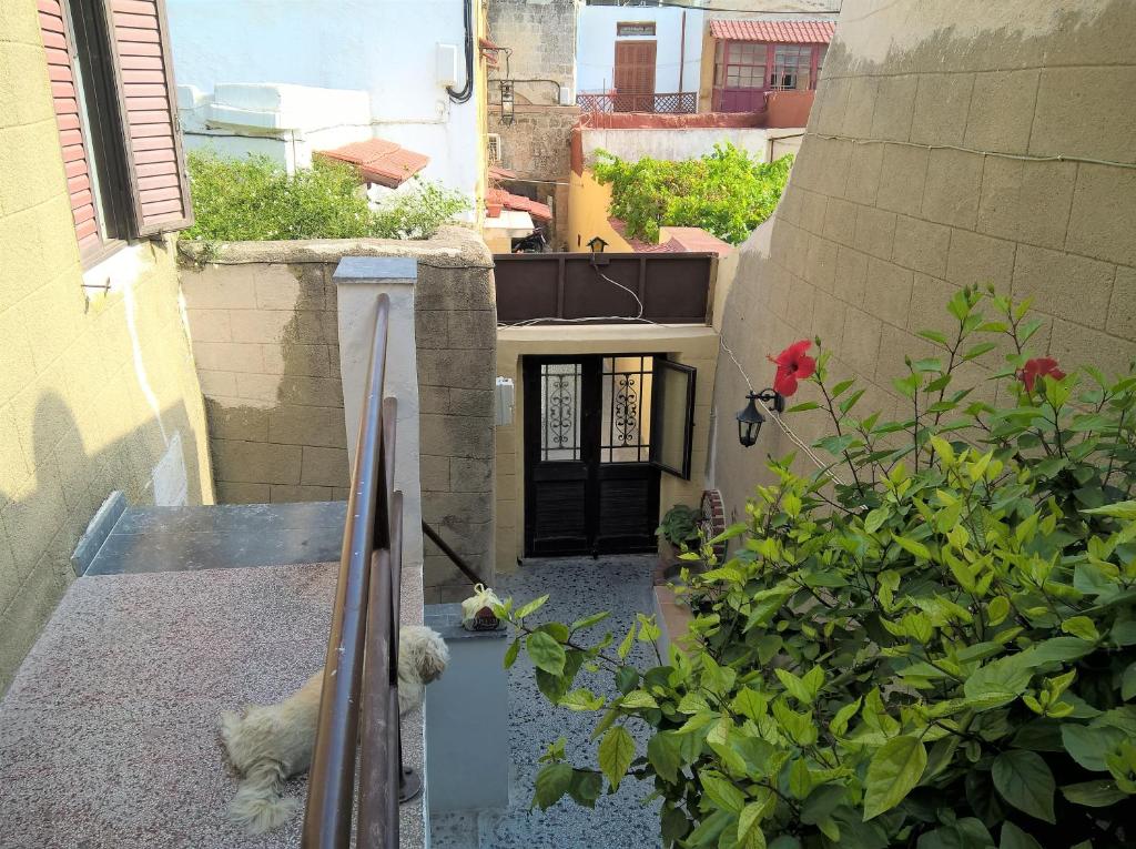 Entrance, Stathis in Rhodes