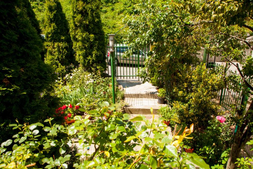 Lavender House - 4
