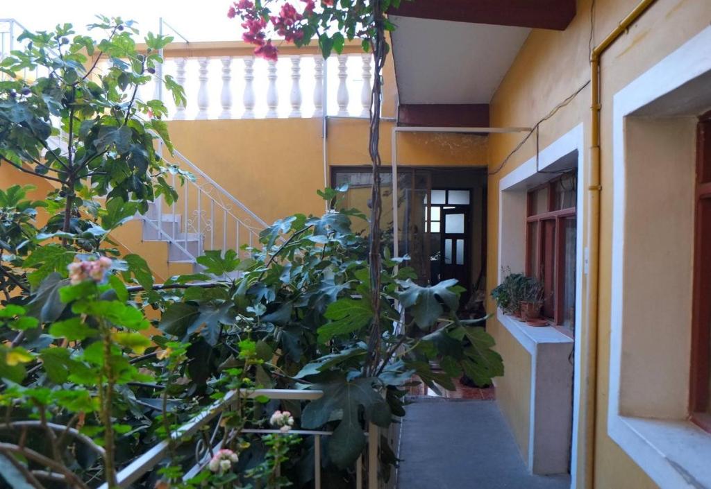 Homestay Jorge Sucre — Hotel in Sucre