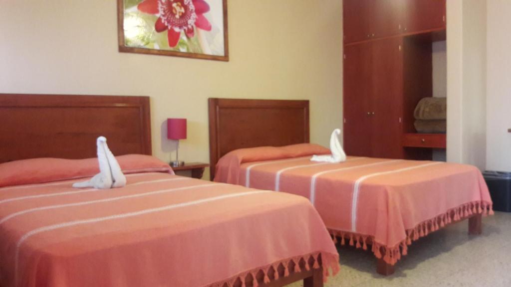 Hotel Florida Oaxaca - 4