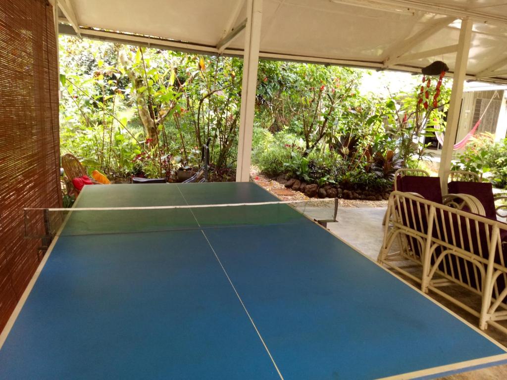 Sports and activities
