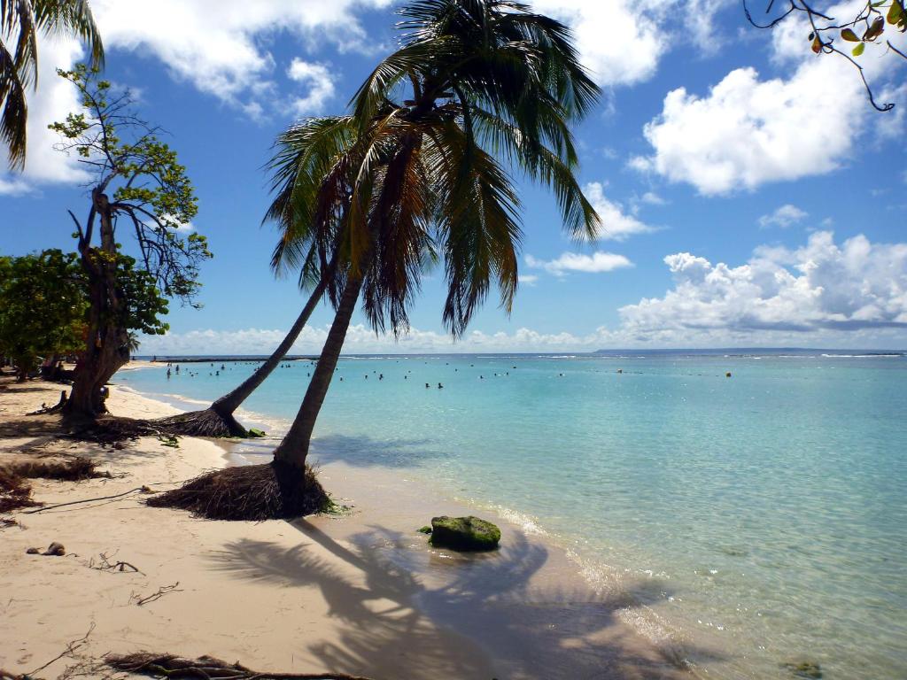 Le Lagon d'Anolis, Sainte-Anne