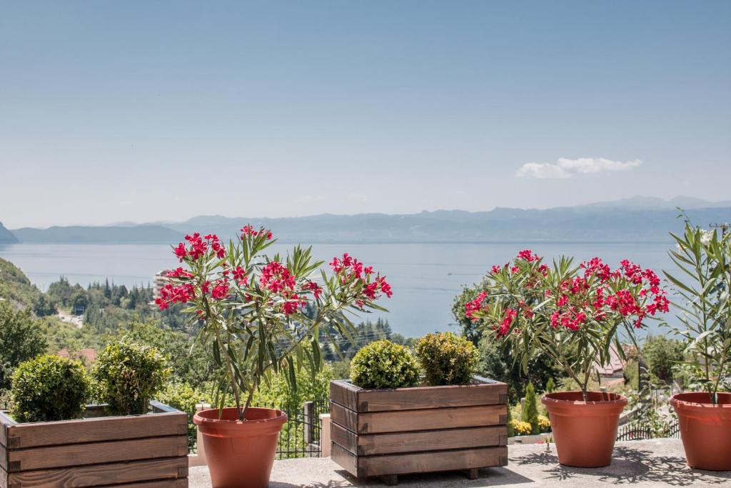 Villa Stefanoski photo