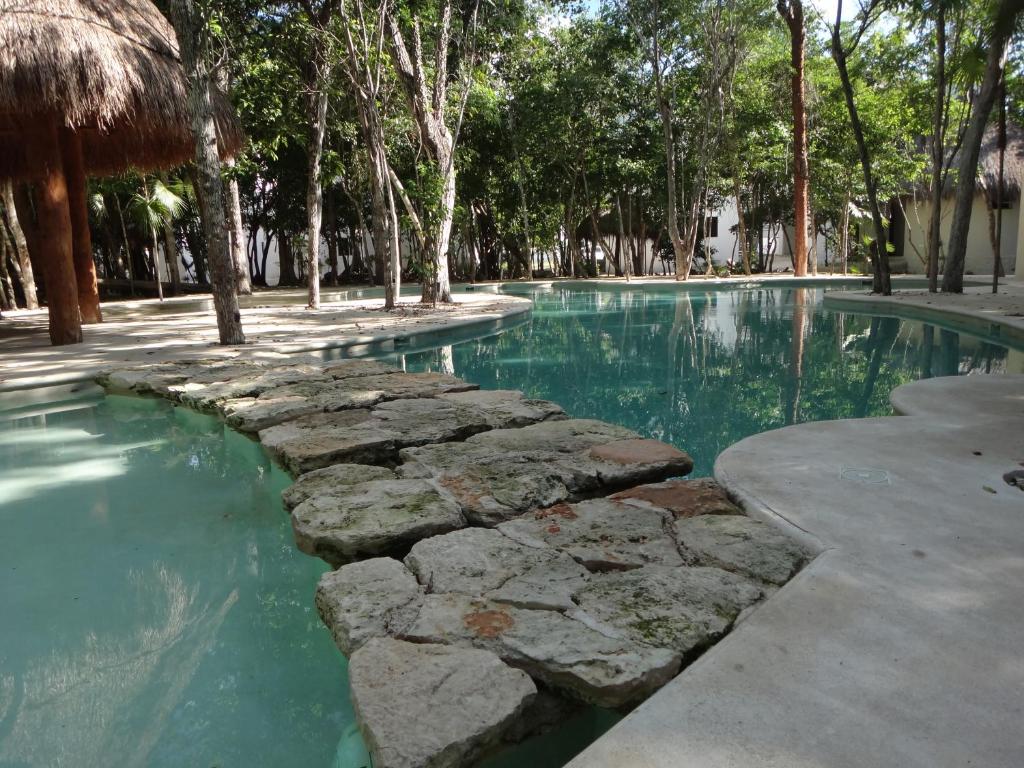 Tropical Paradise Apartment - 1