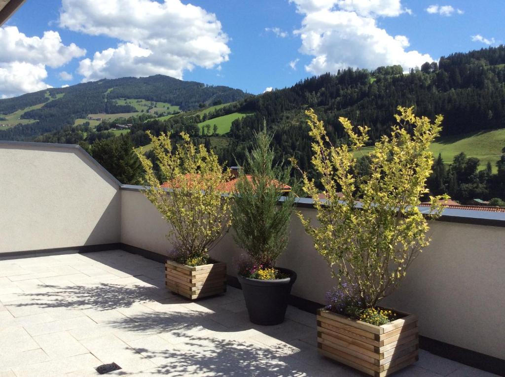 Appartementhaus Evelyn - 3