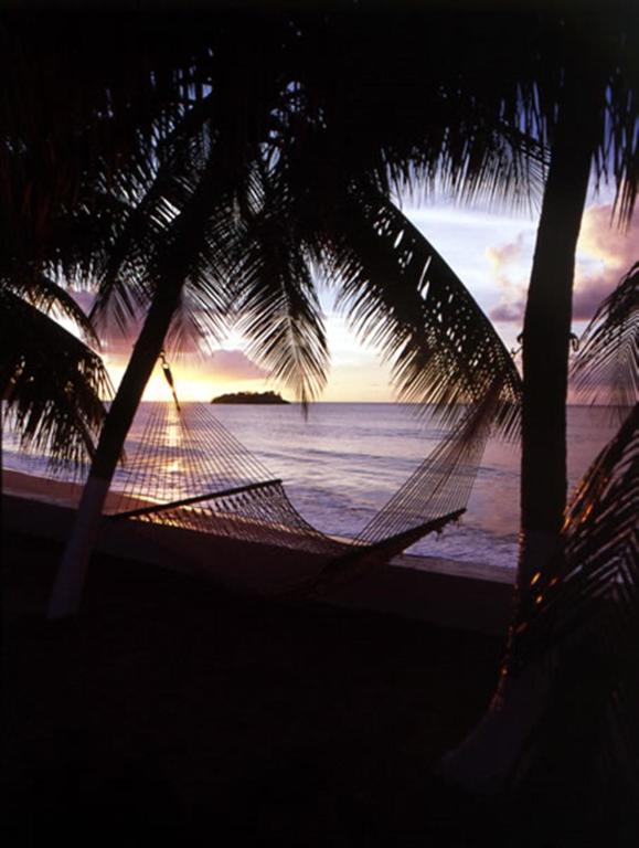 Villa Beach Cottages photo