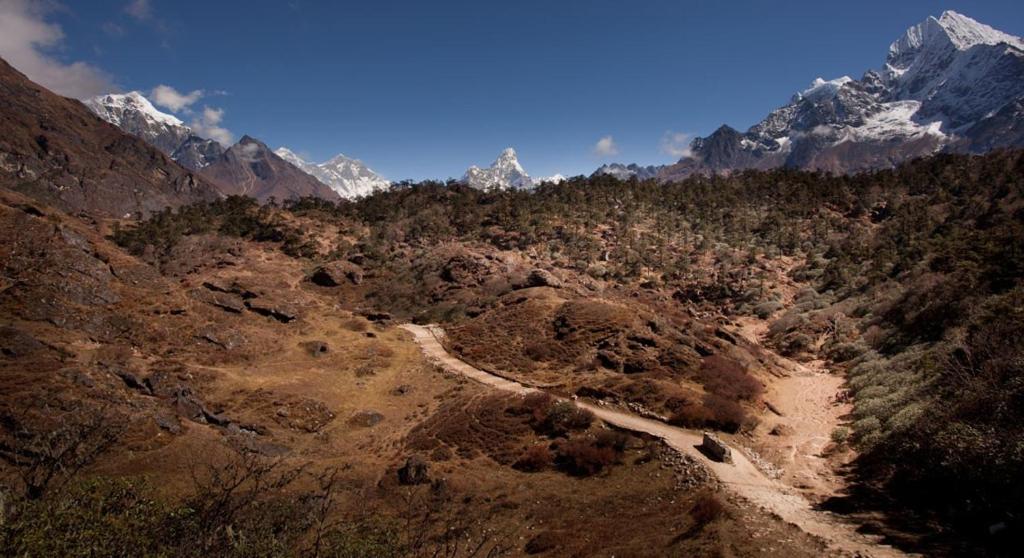 Surrounding environment