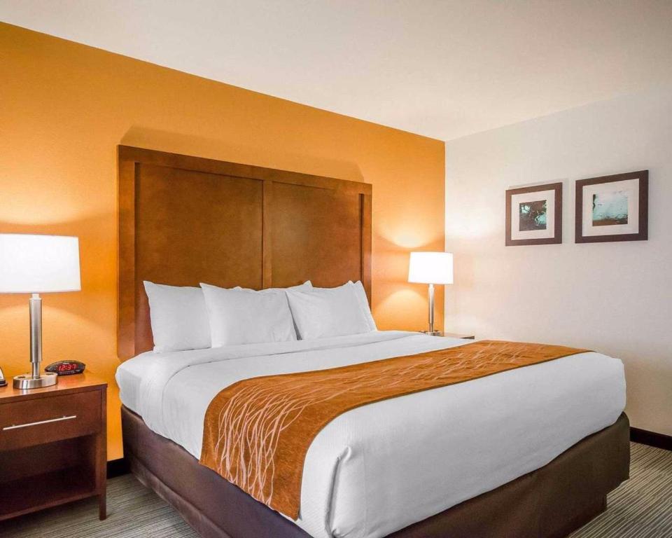 Comfort Inn photo