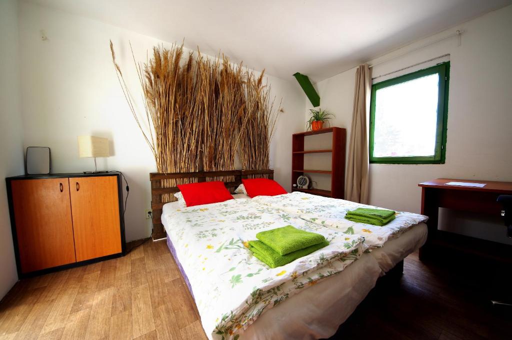 Rastlinky.sk Greenhouse Guestrooms photo