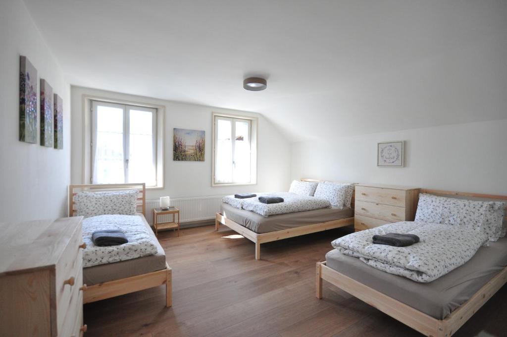 Jungfrau Family Holiday Home photo