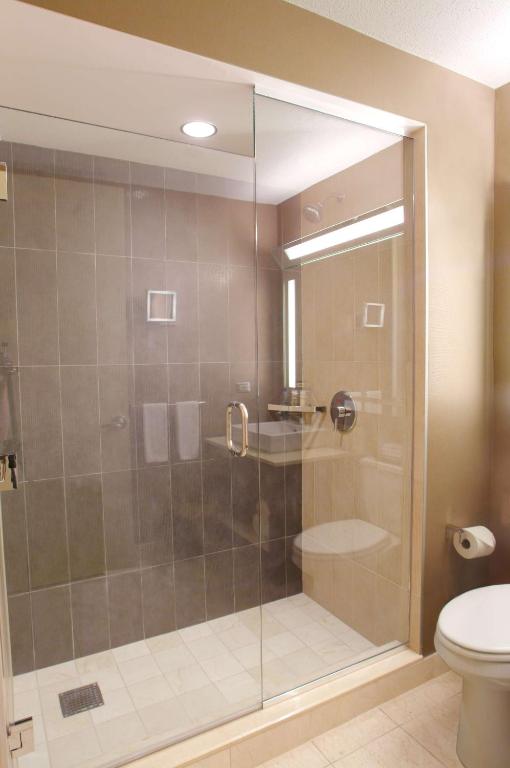 Chicago Hyatt Regency Chicago Additional