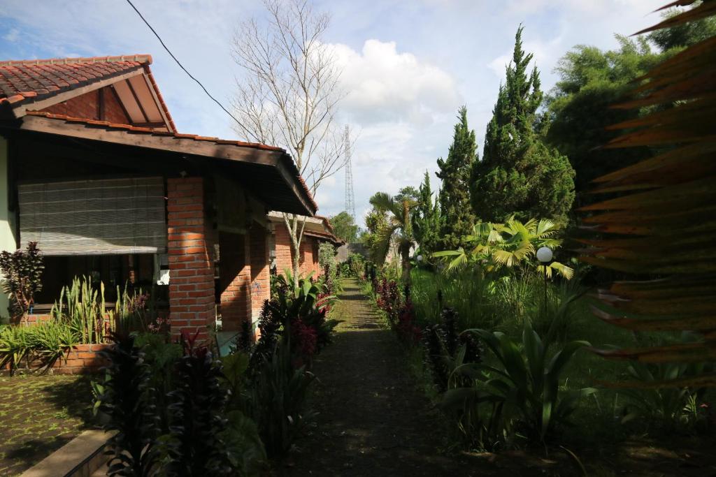 Princess Cottages photo