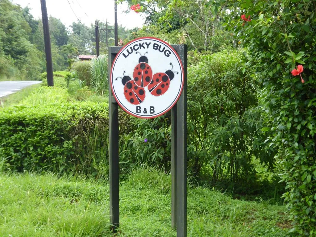 Lucky Bug Bed And Breakfast, hotel in Nuevo Arenal