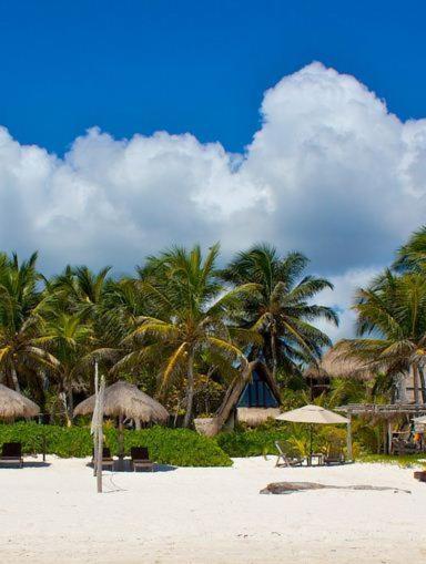 Beach, Playa Selva in Tulum