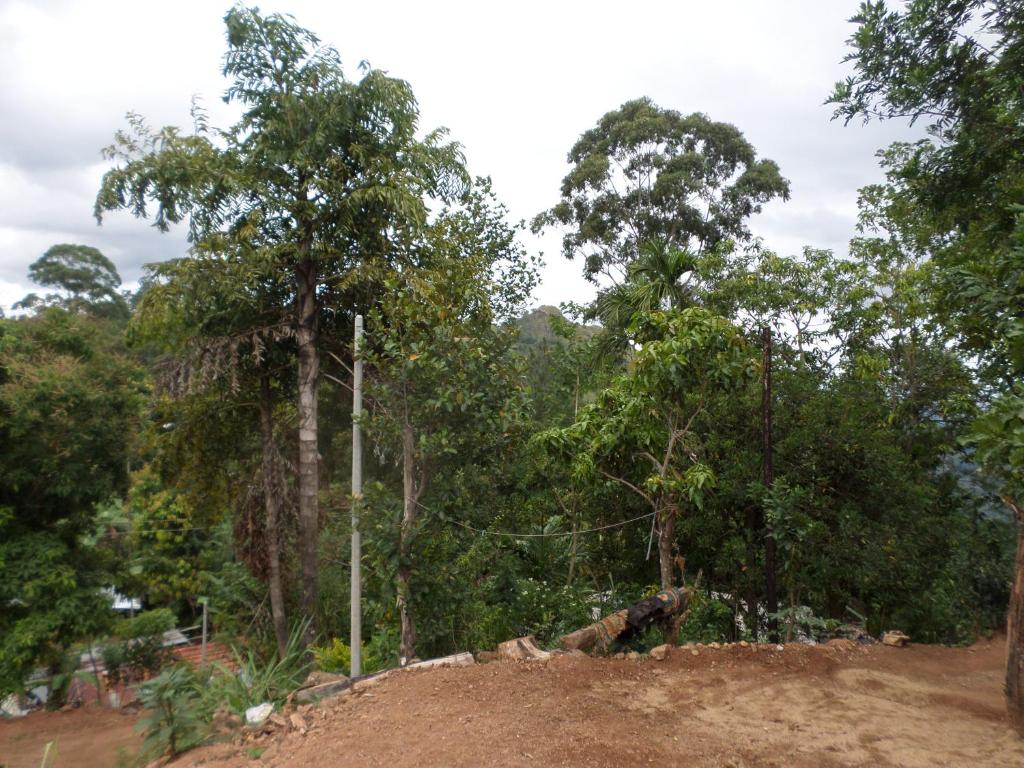 Jaye Homestay photo