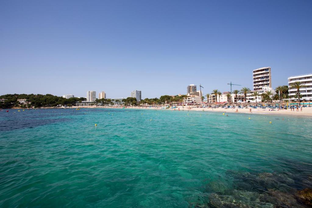 Magalluf Playa Apartments - Adults Only — Beach in Magaluf, Balearic Islands