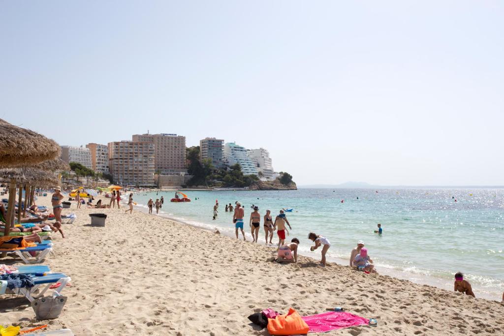 Magalluf Playa Apartments - Adults Only — Beach in Magaluf, Balearic Islands