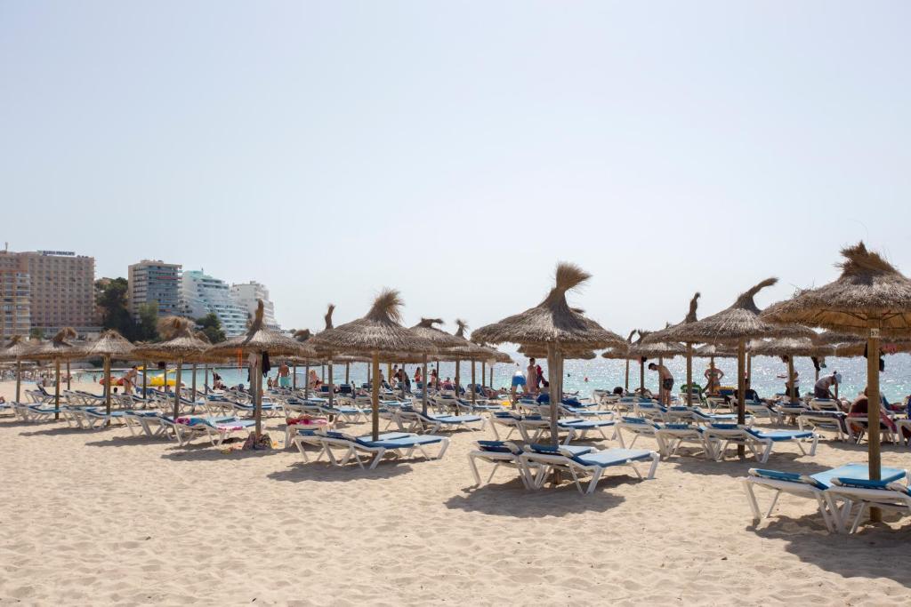 Magalluf Playa Apartments - Adults Only — Beach in Magaluf, Balearic Islands