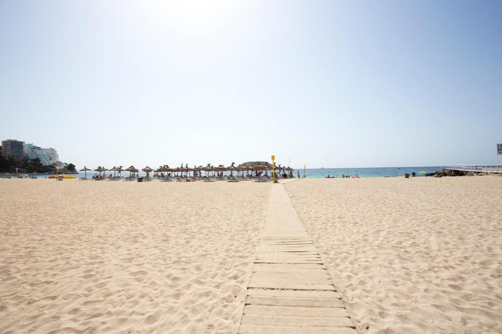 Magalluf Playa Apartments - Adults Only — Beach in Magaluf, Balearic Islands
