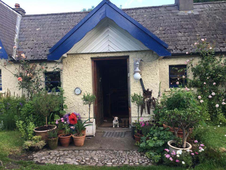 Corriebeg Cottage photo