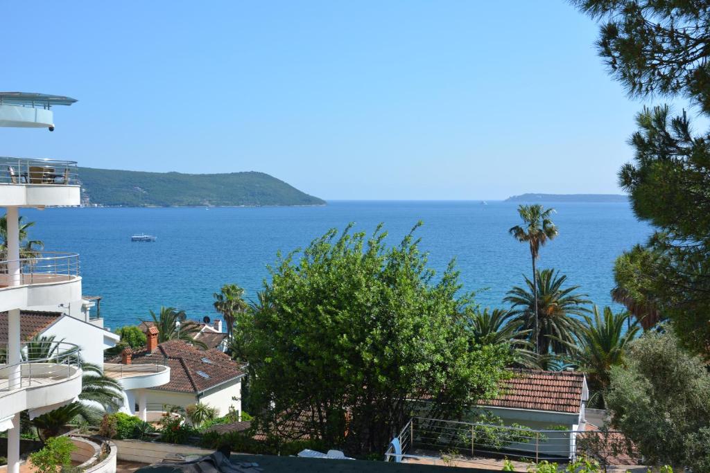 Surrounding environment, Petrovic house in Herceg Novi