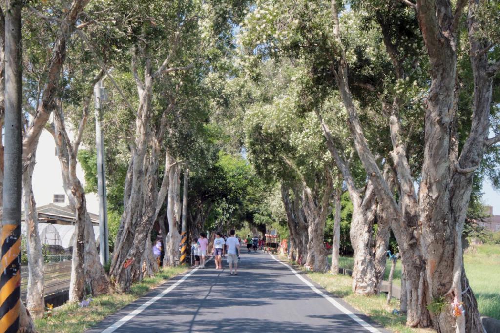 アクティビティ