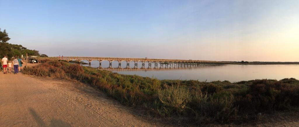 Surrounding environment