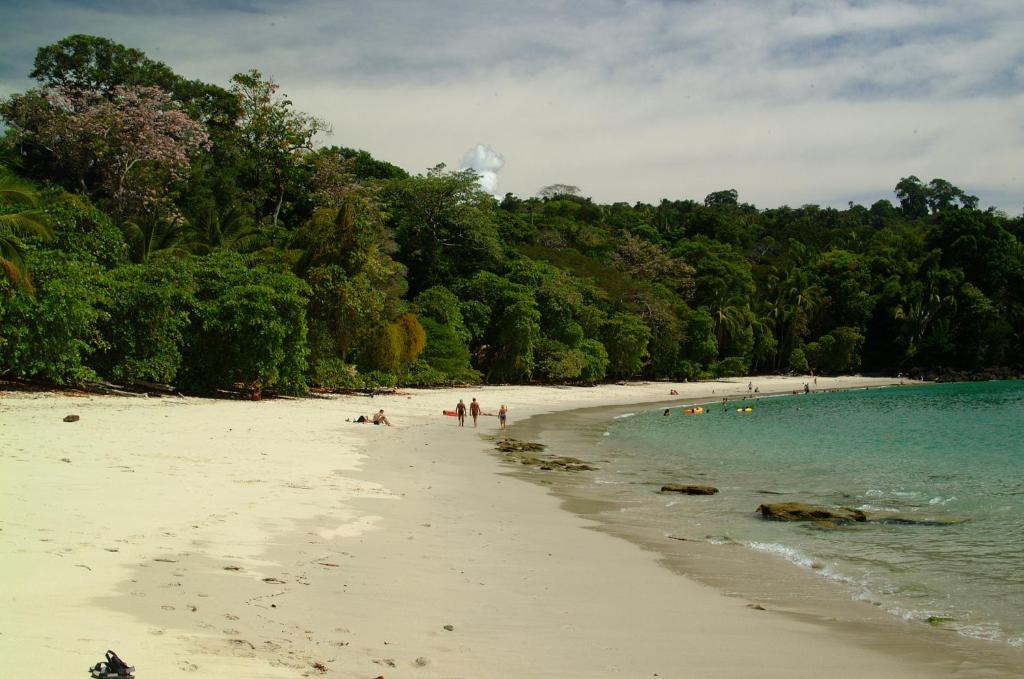 Surrounding environment