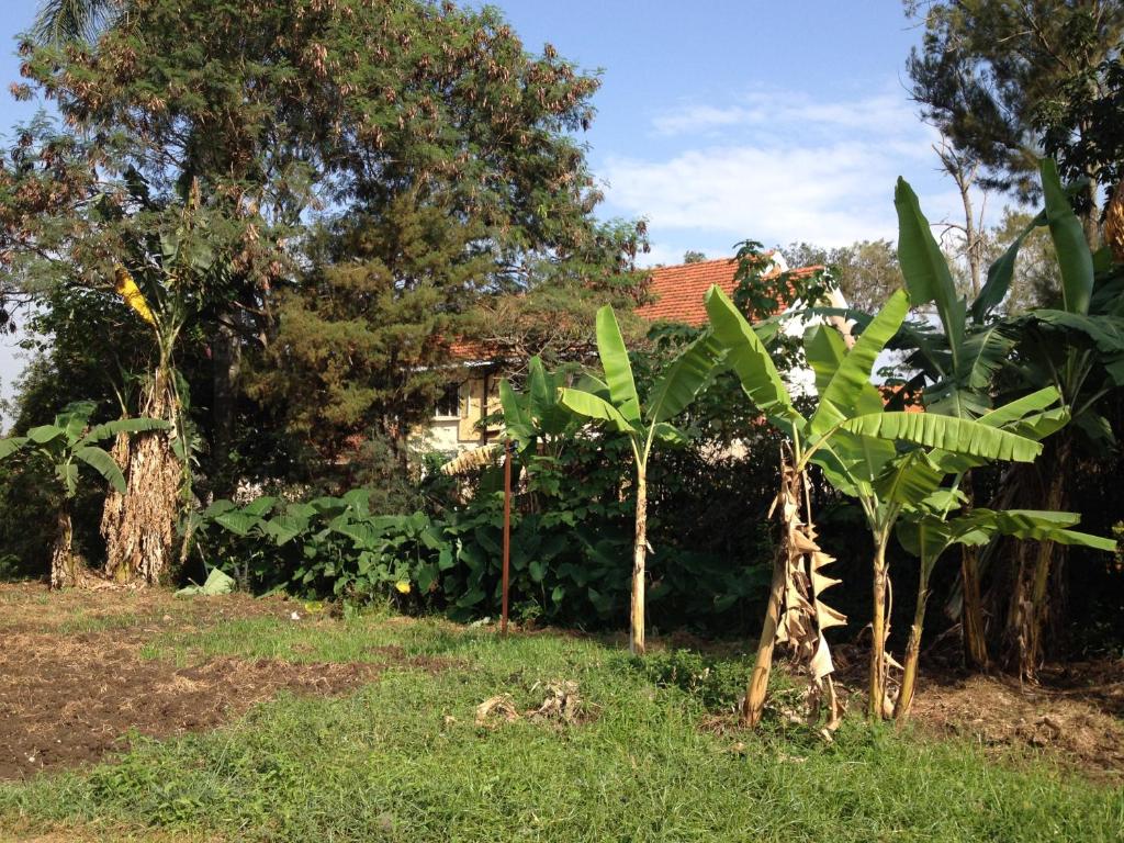 Bikeventures House Uganda photo