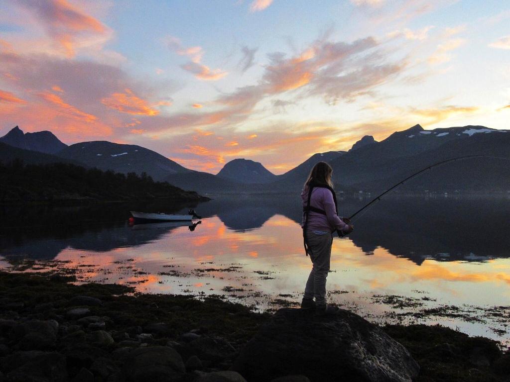 Fjordbotn Camping photo