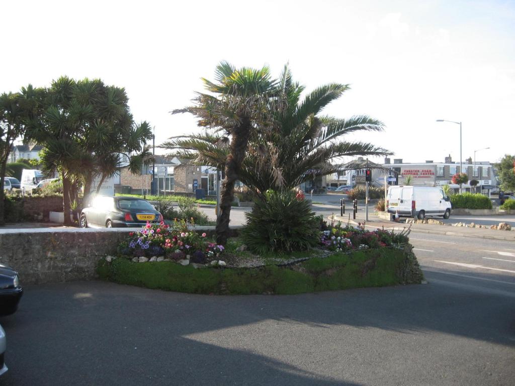 Surrounding environment