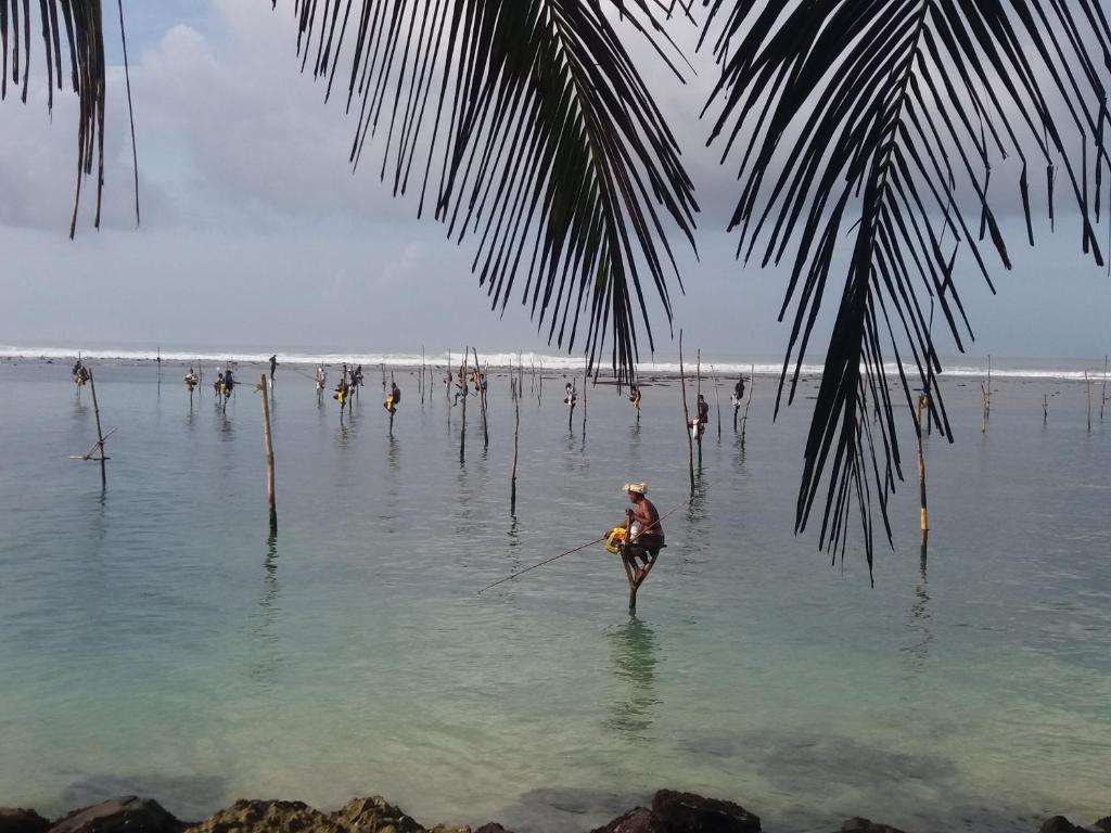 Матара шри ланка. Polhena Beach Шри Ланка. Пляж Матара Шри Ланка. Пляж Мадиха Шри Ланка. Пляж Полхена.