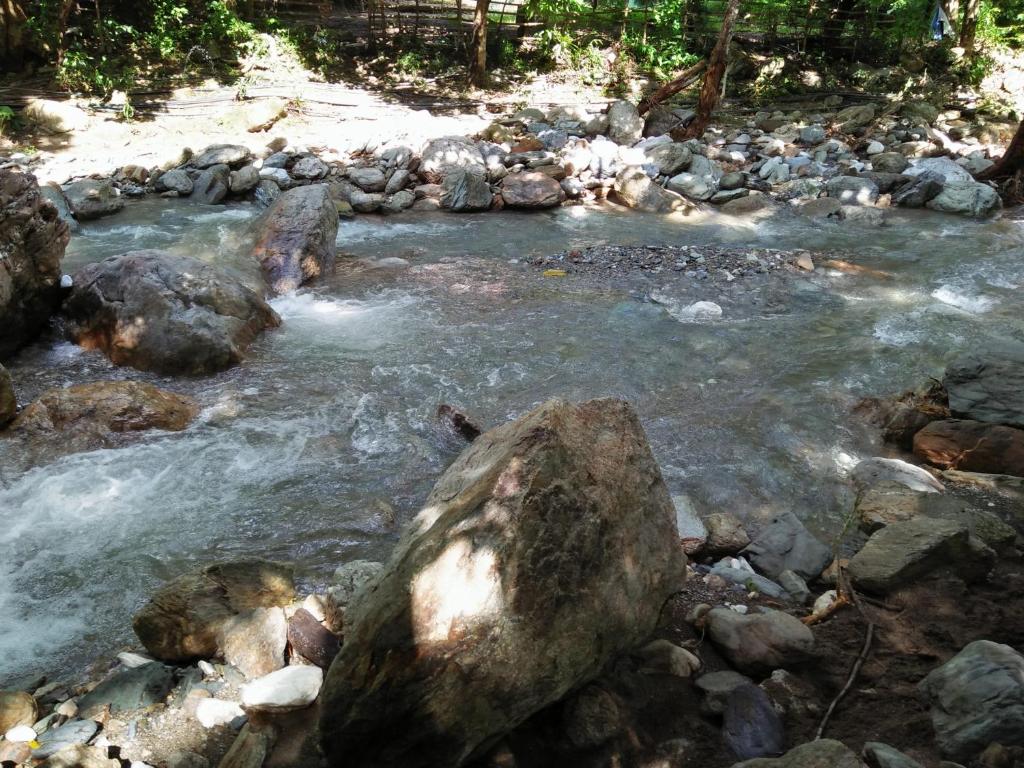 Surrounding environment