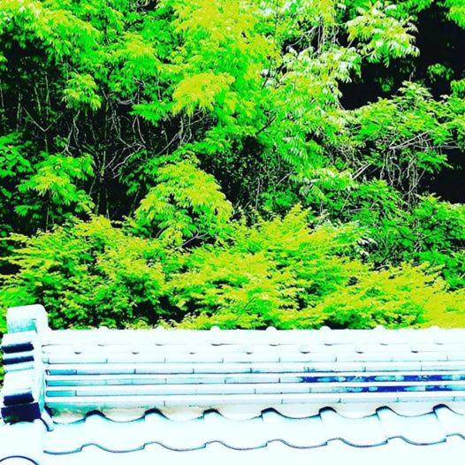 Guesthouse Sofusha photo