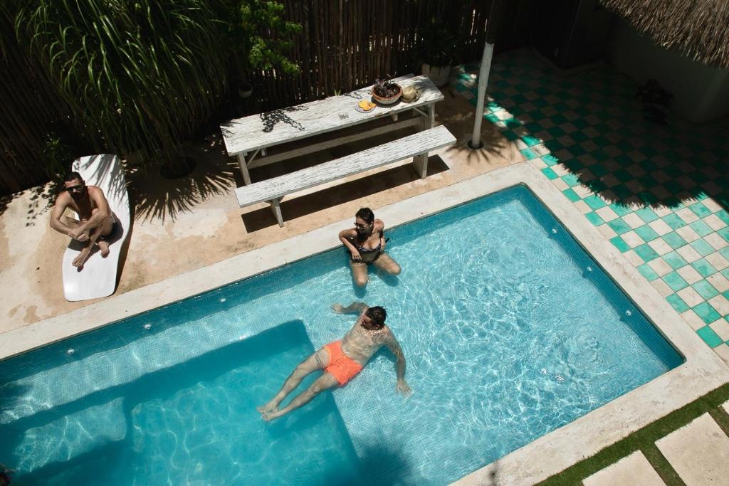Residencia Gorila photo