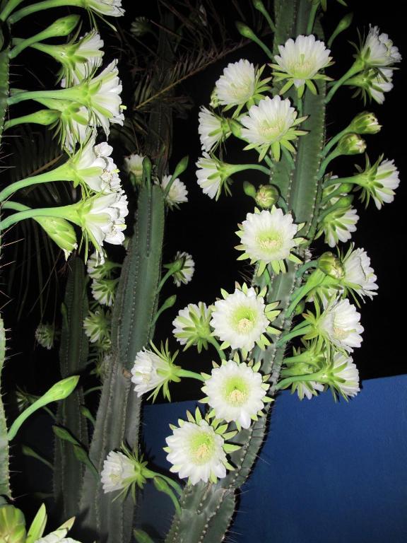 Surrounding environment