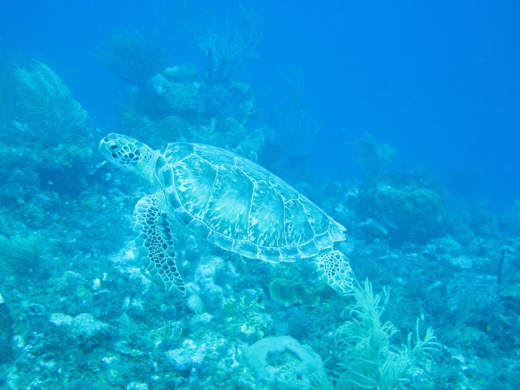 Sports and activities