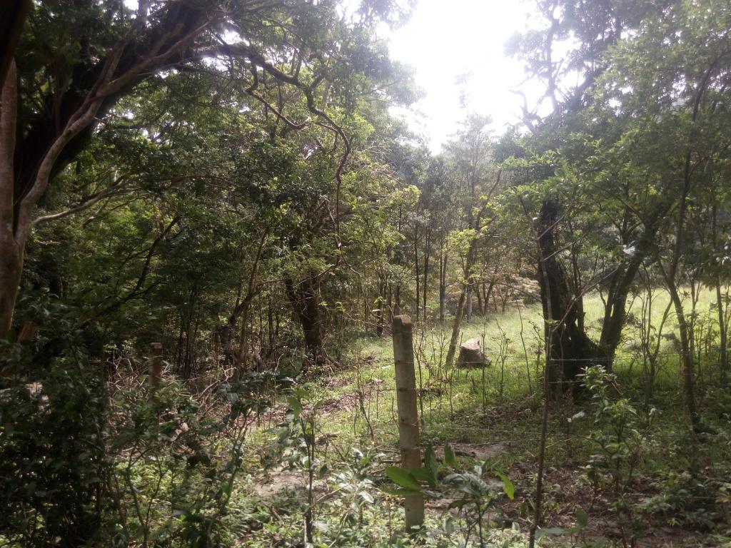 Surrounding environment