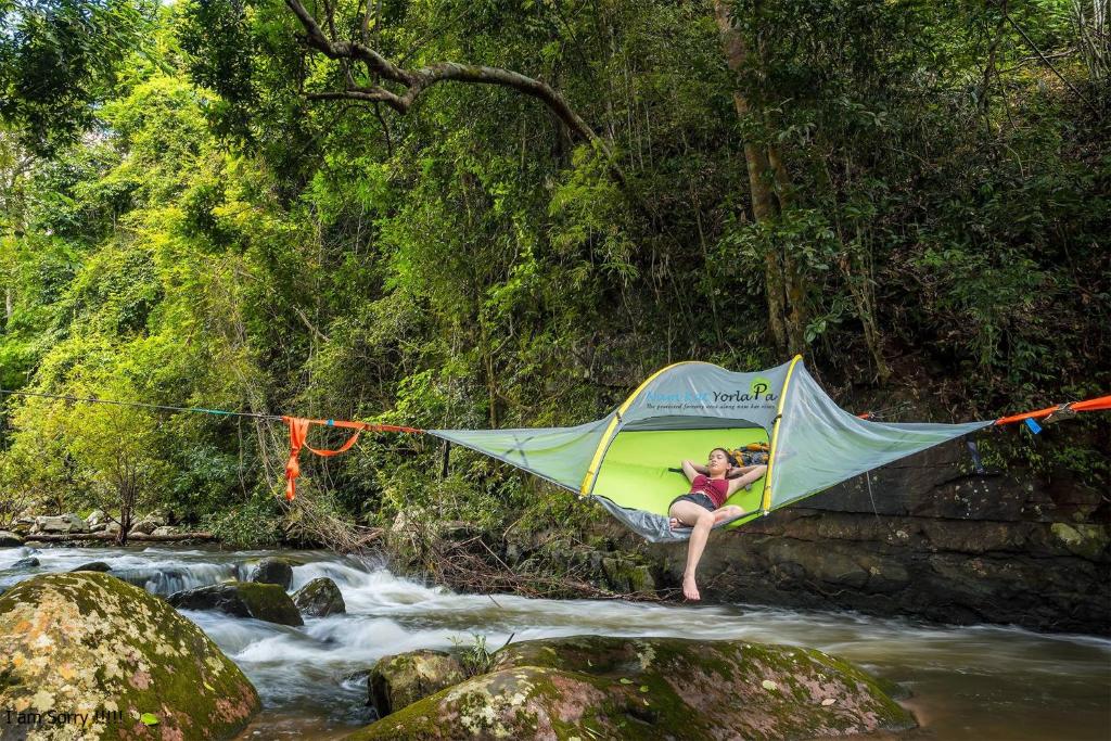 アクティビティ