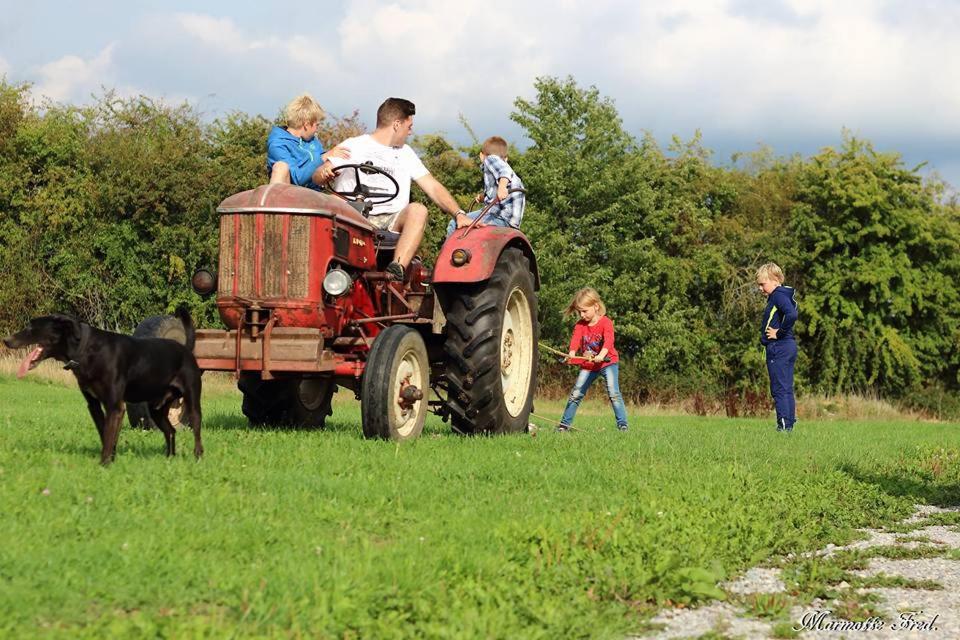 Camping Le pommier rustique photo