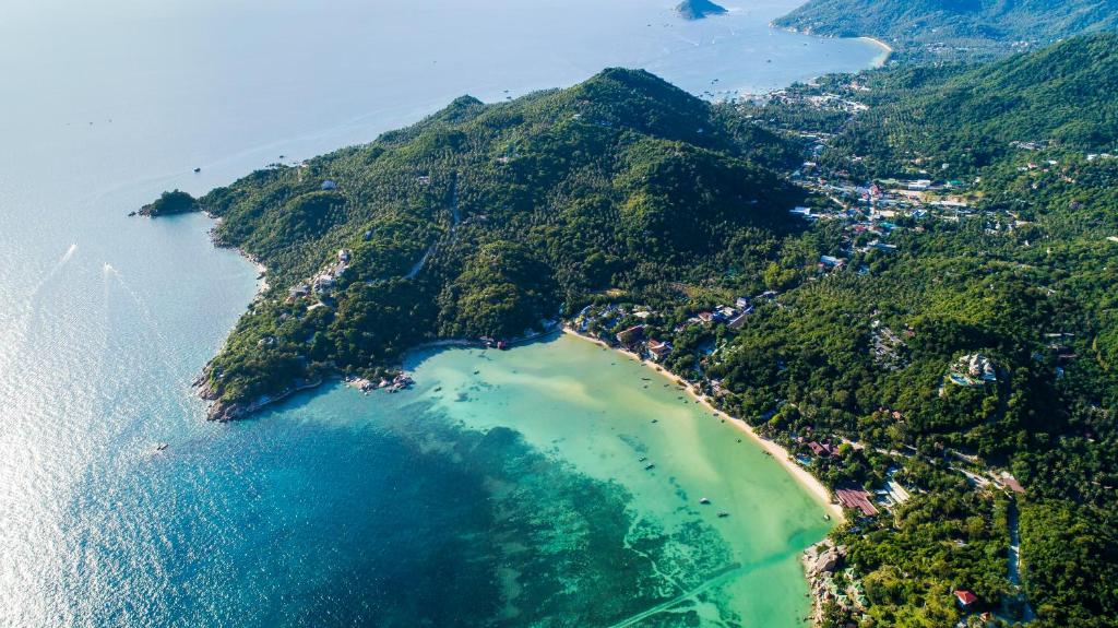 New Heaven Dive Resort photo