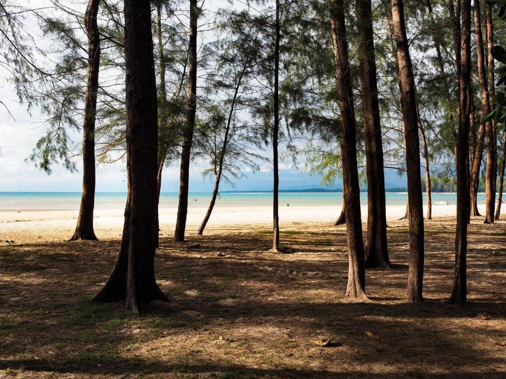 Naiyang Park Resort (SHA Plus+) photo