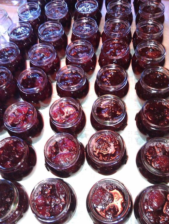 お料理のイメージ