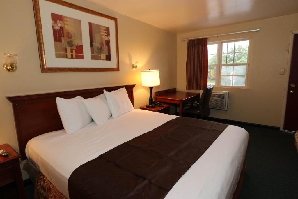 Red Carpet Inn Berlin photo