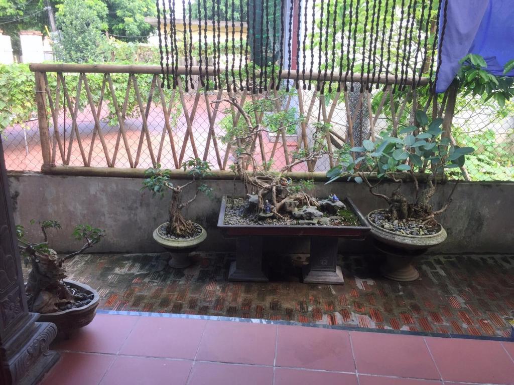 Hung Anh Homestay photo