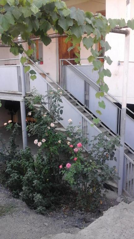 Guesthouse Raisa photo