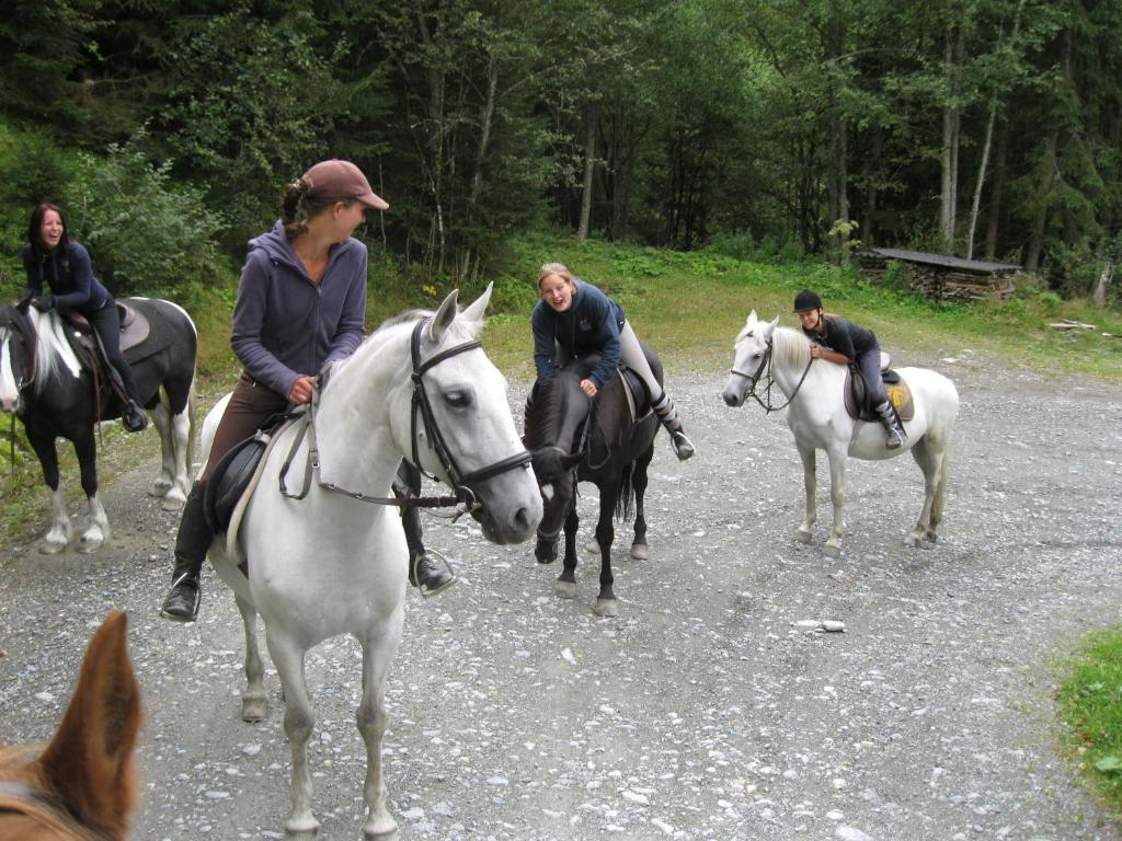 Horseback riding