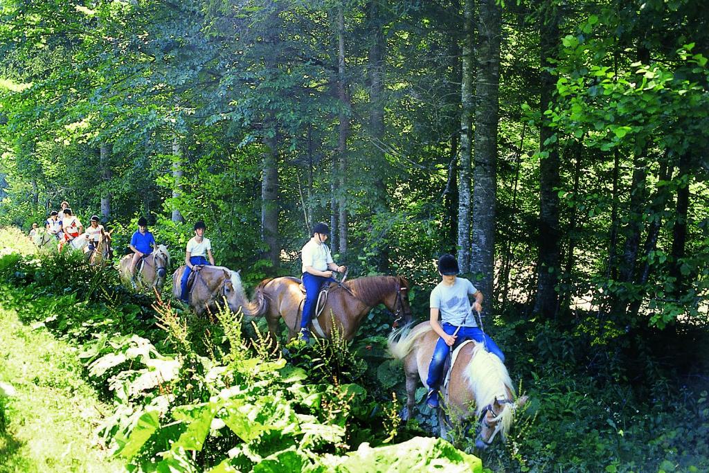 Horseback riding